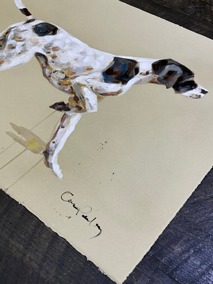 Hunting Dog