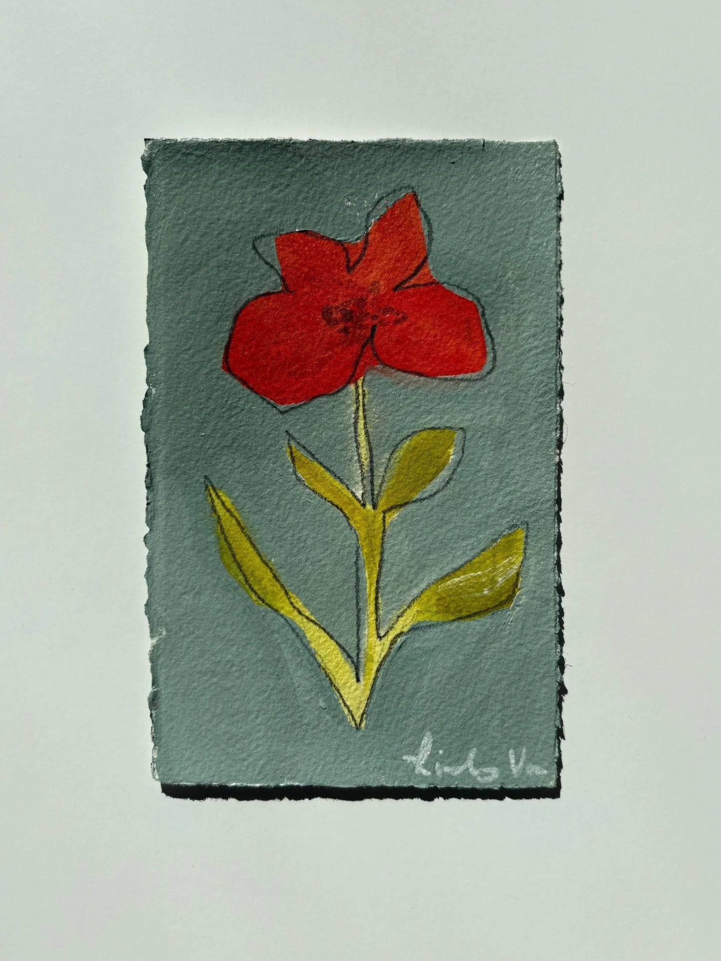 Poppy 4