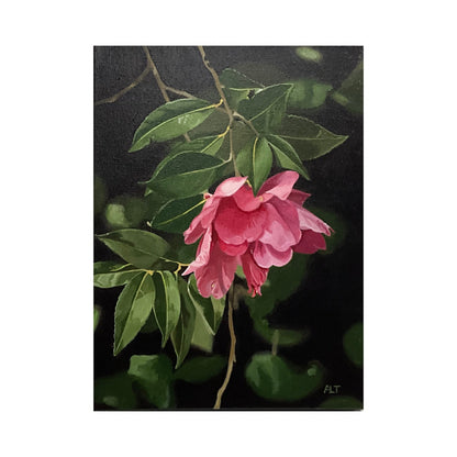 Camellia