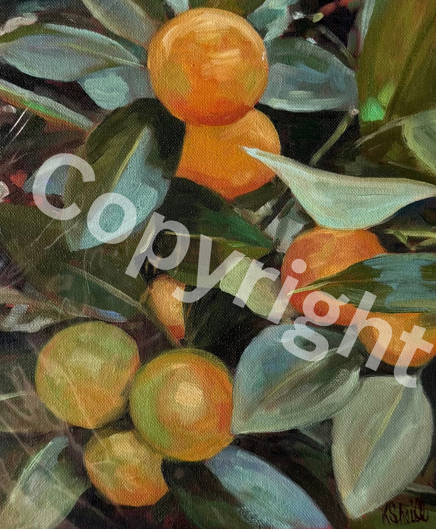 Oranges