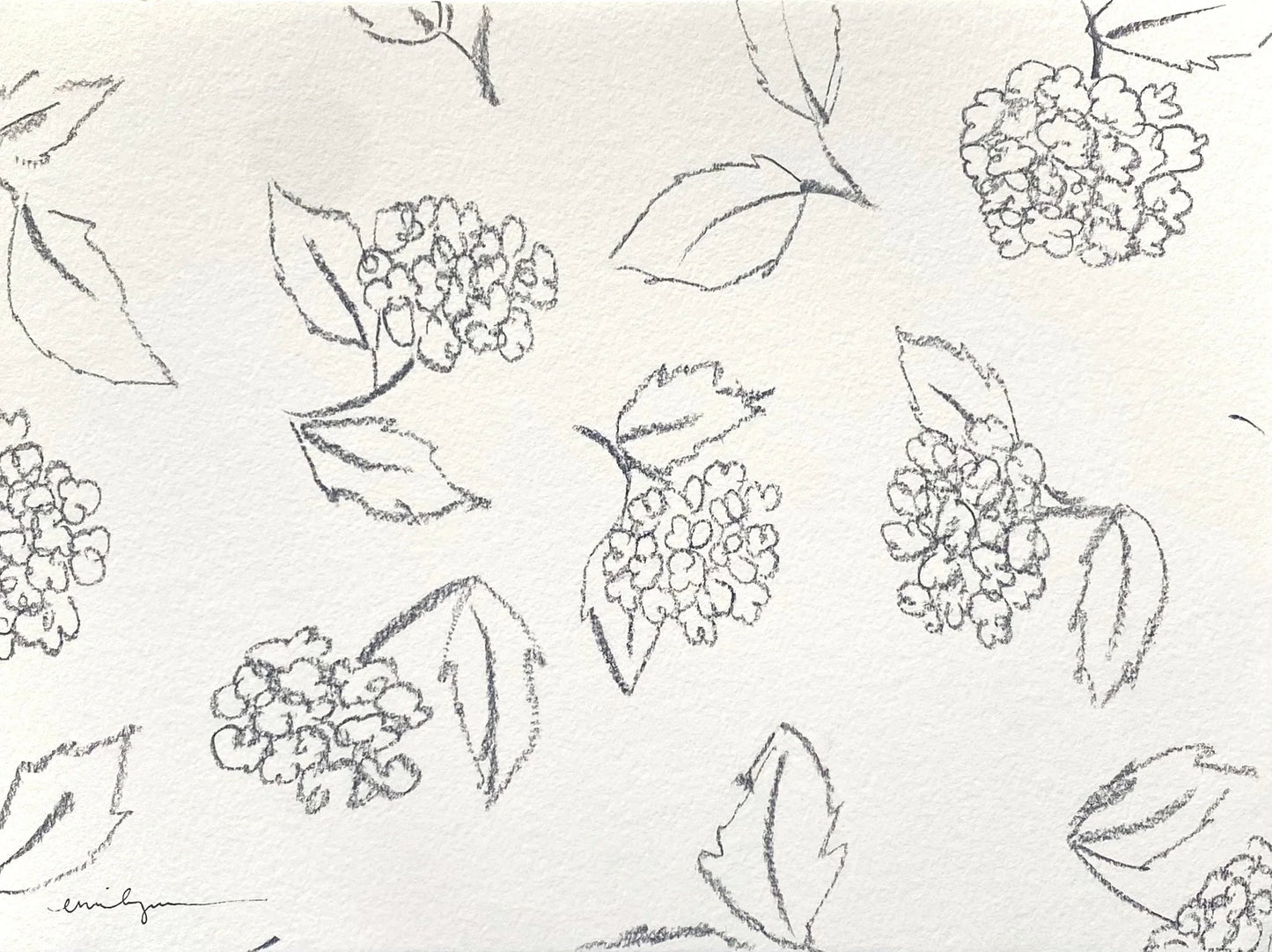 Hydrangeas 1