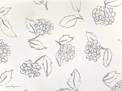 Hydrangeas 1
