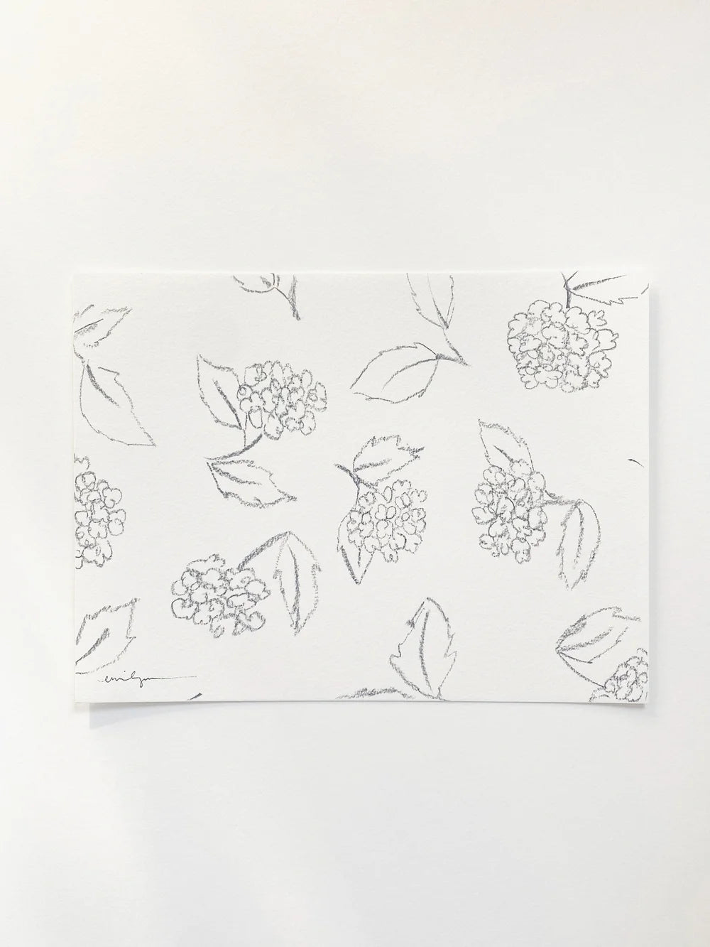 Hydrangeas 1