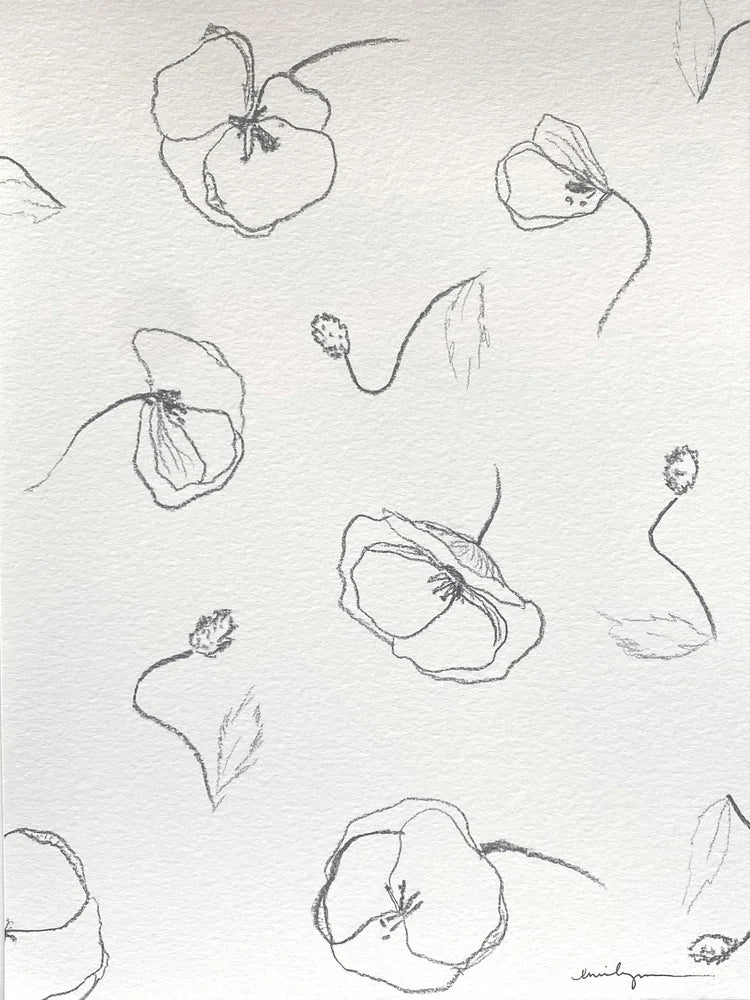 Poppies