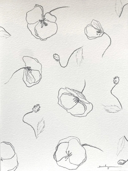 Poppies
