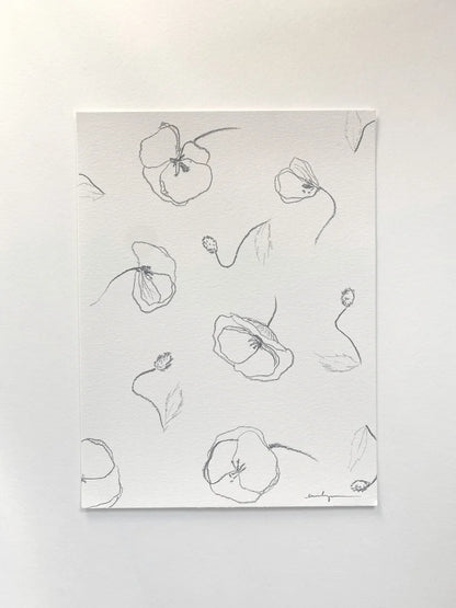 Poppies