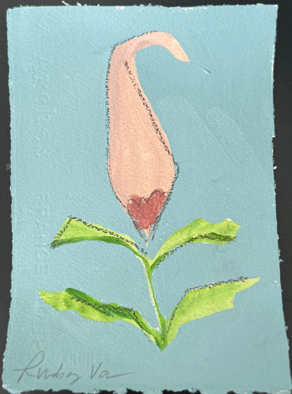 (Blue/Blush) Mini Botanical 4