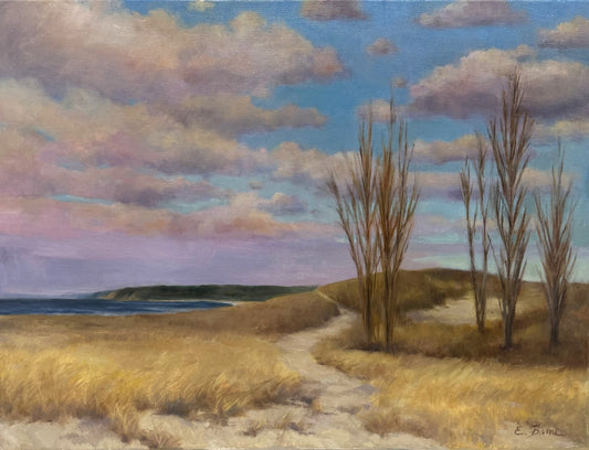 Evening on the Dunes