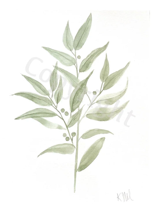 Olive Leaf 1