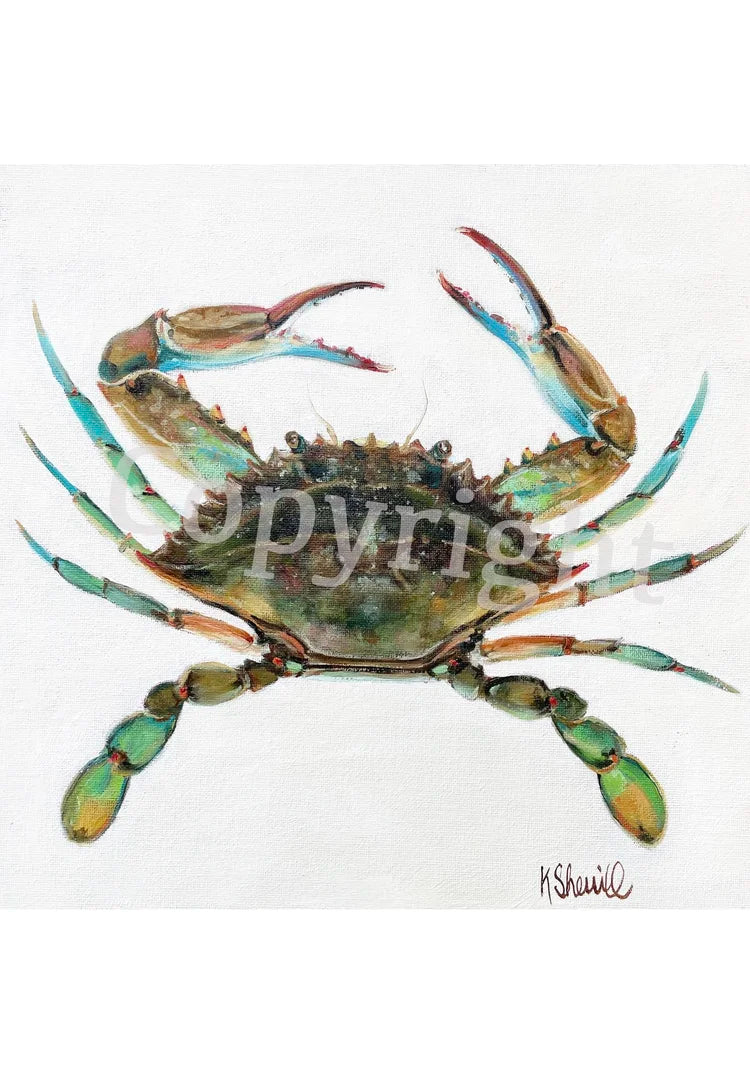 Blue Crab 2