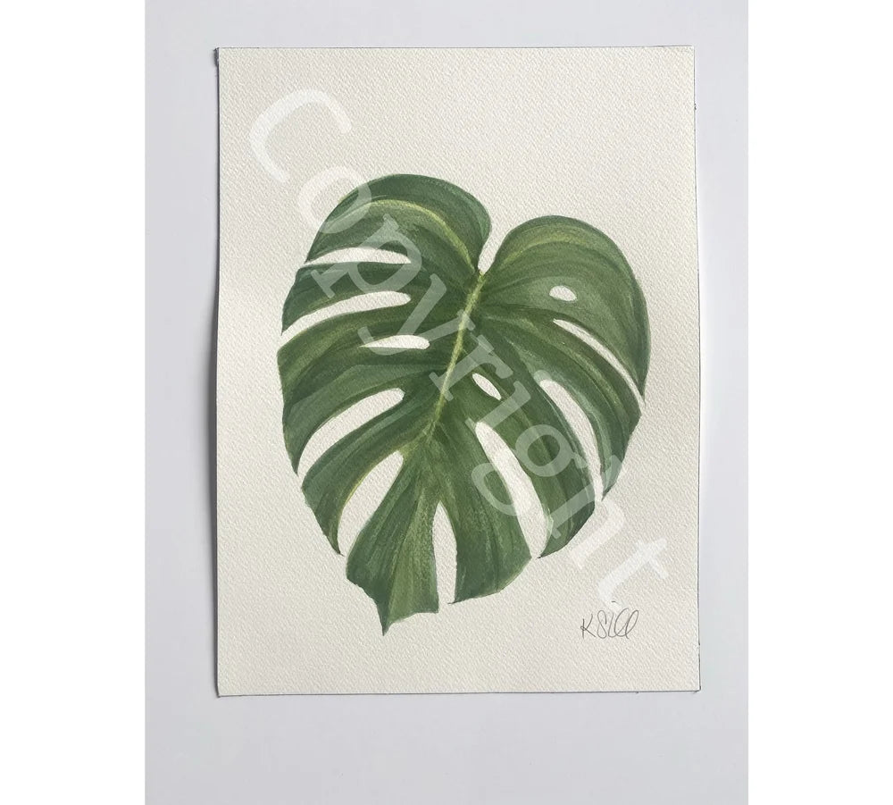Monstera Leaf 2