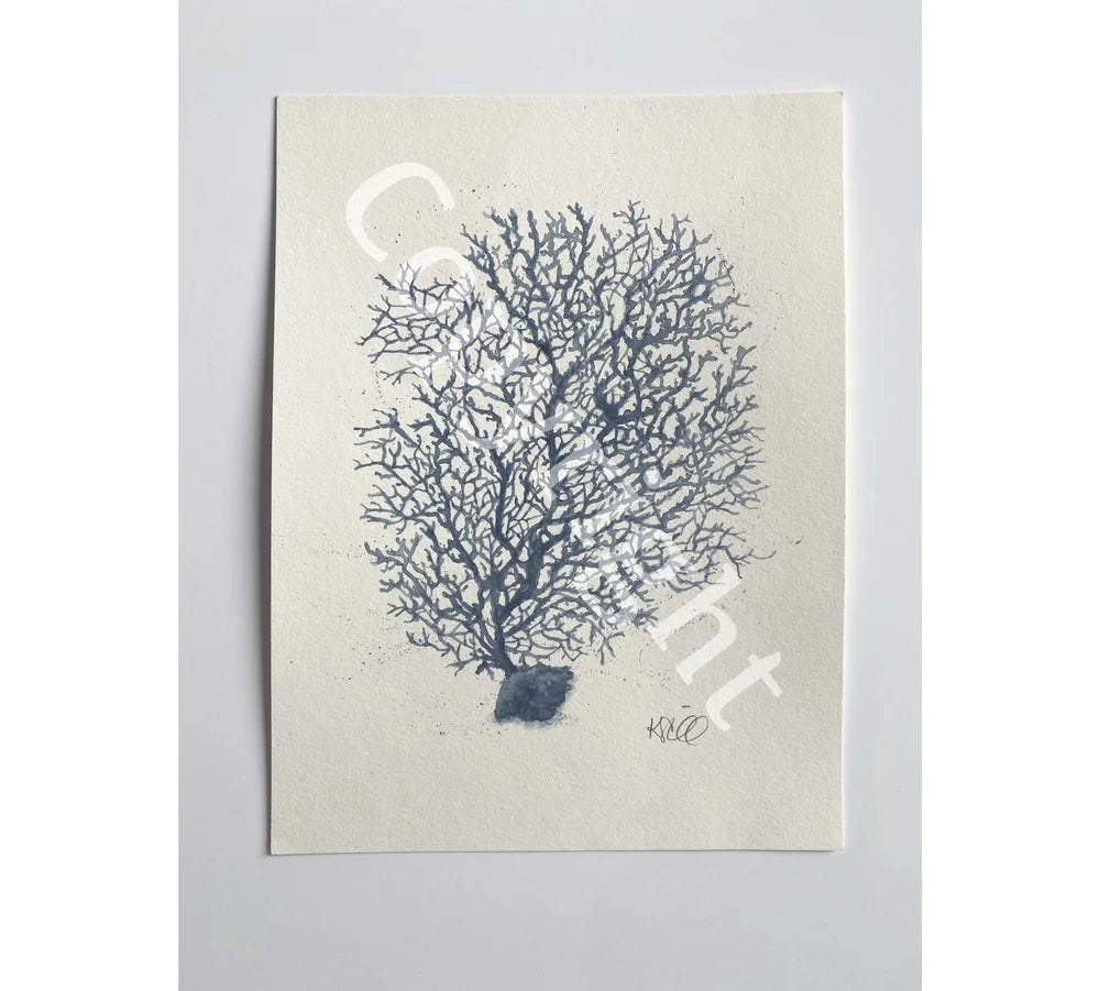 Blue Coral 2