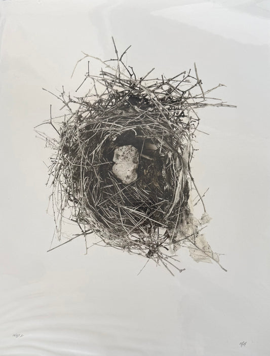 Nest 1 (Large)