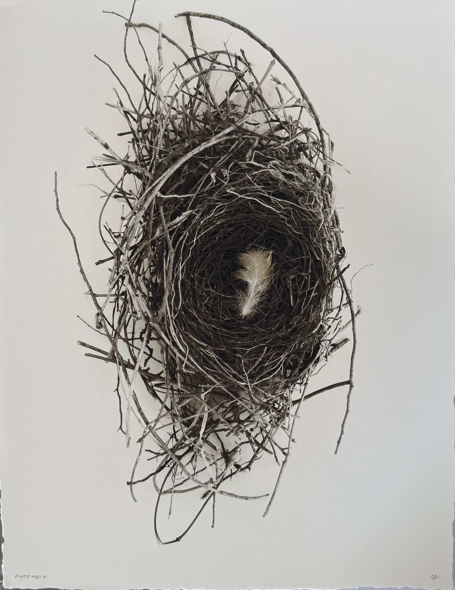 Empty Nest 2 (Large)