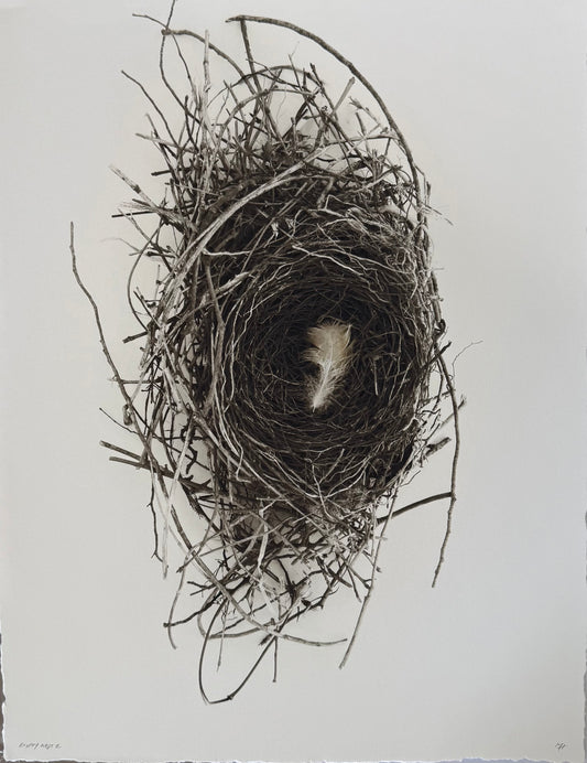 Empty Nest 2 (Large)