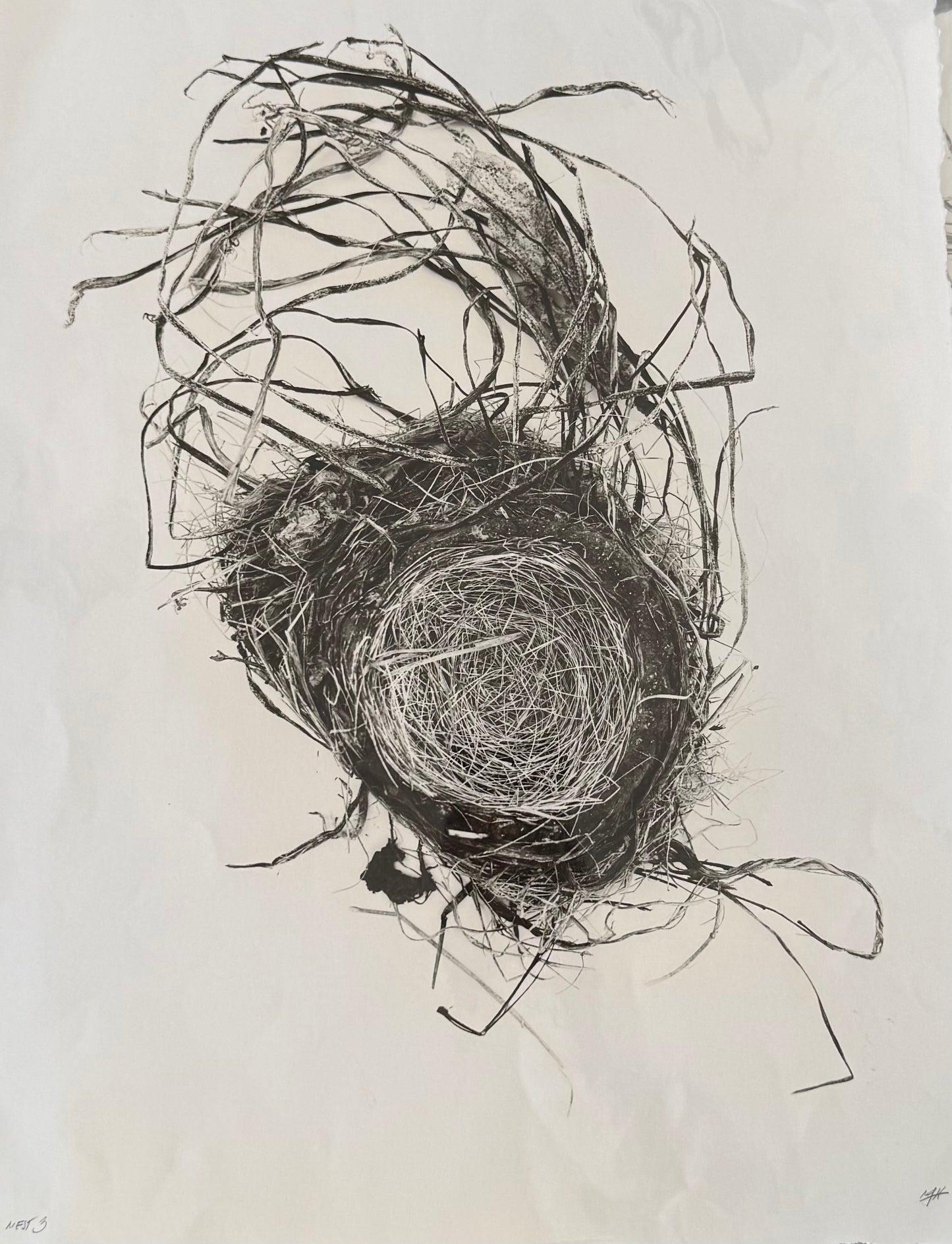 Nest 3 (Large)