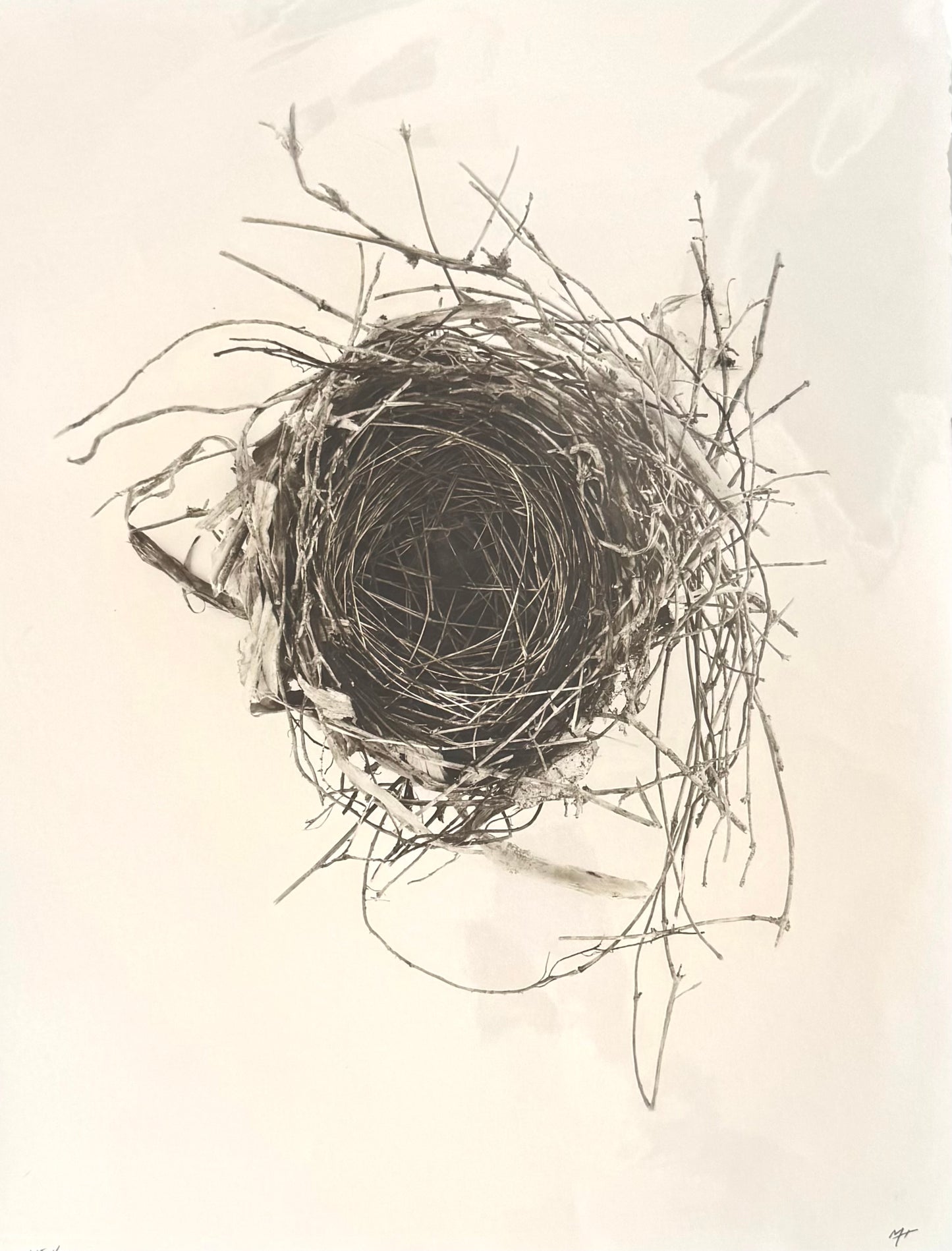 Nest 4 (Large)