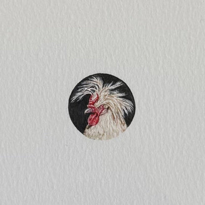 Rooster