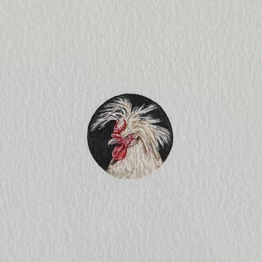 Rooster