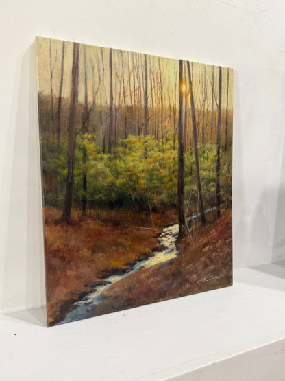 Woodland Stream