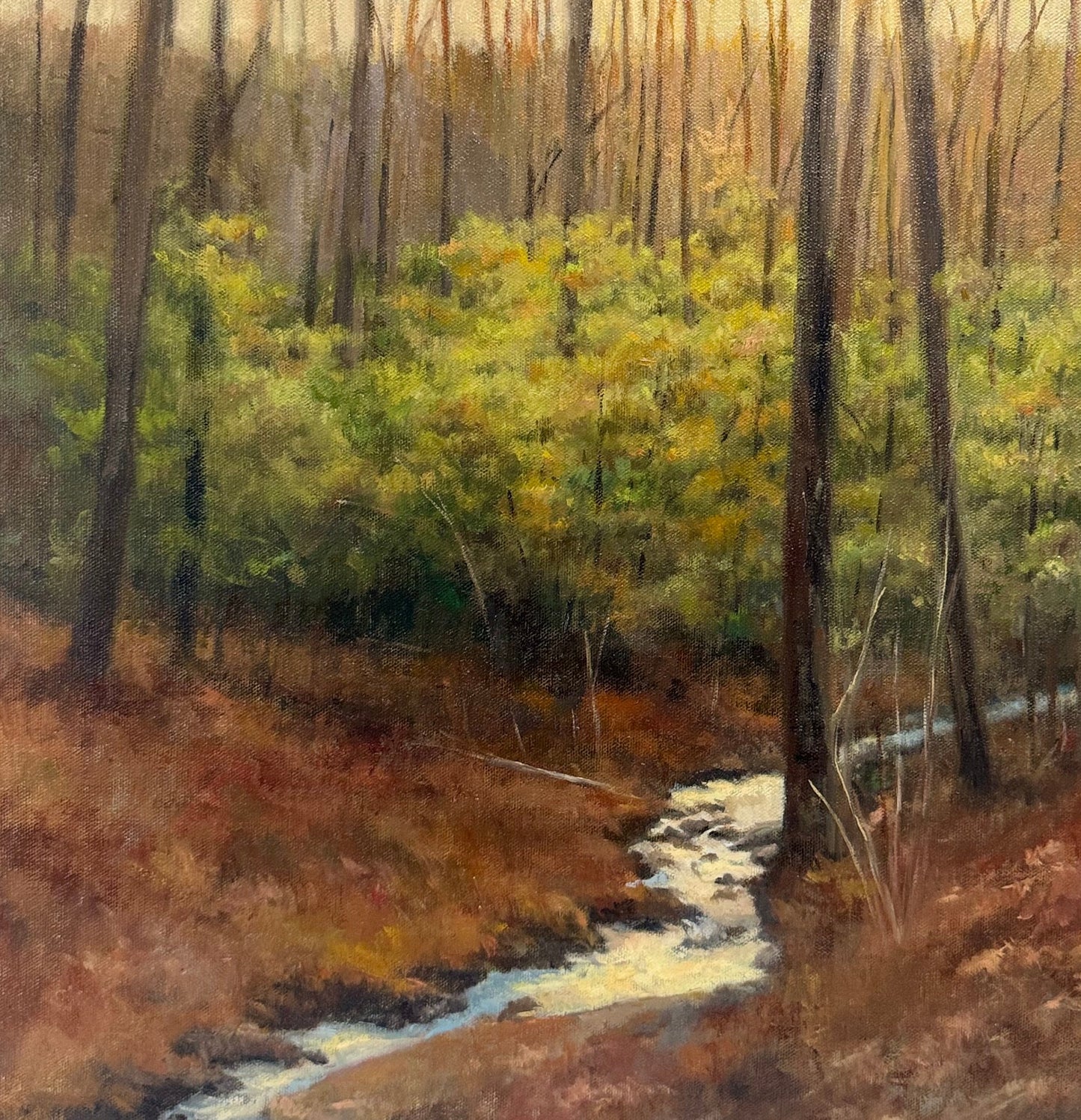 Woodland Stream