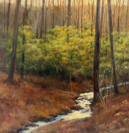 Woodland Stream