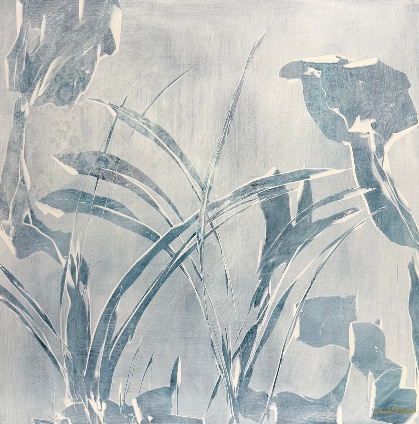 Botanical Drift 2