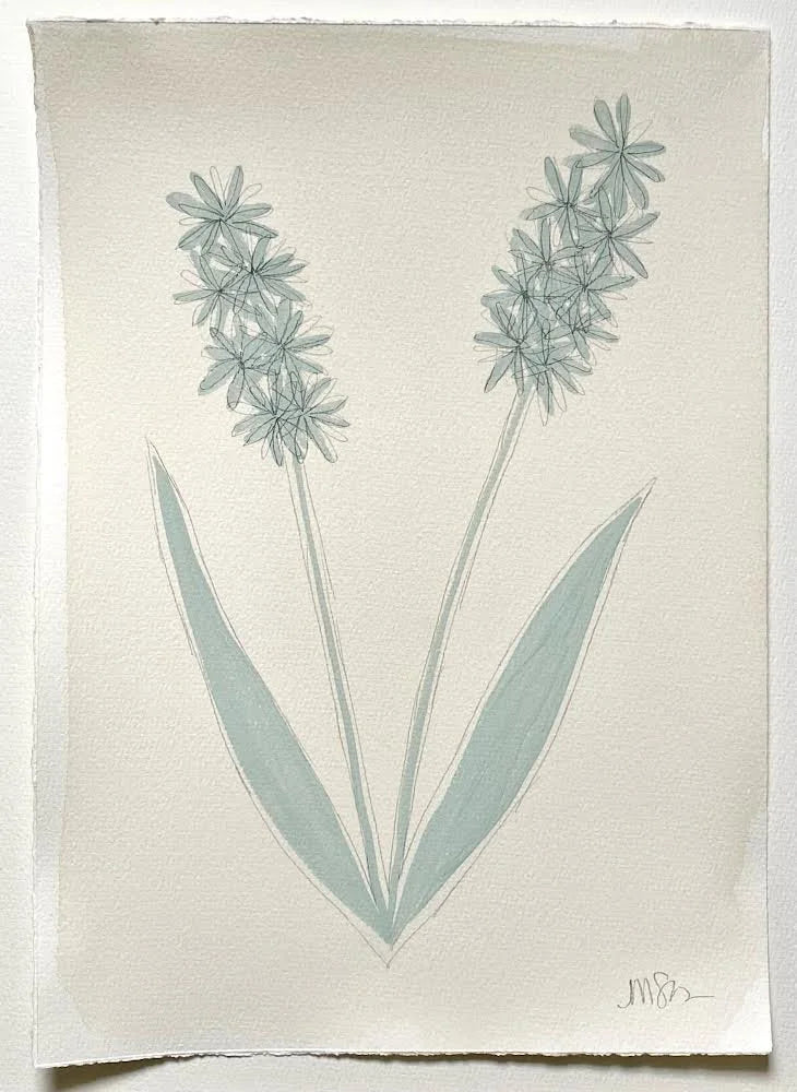 Seafoam Botanicals 7