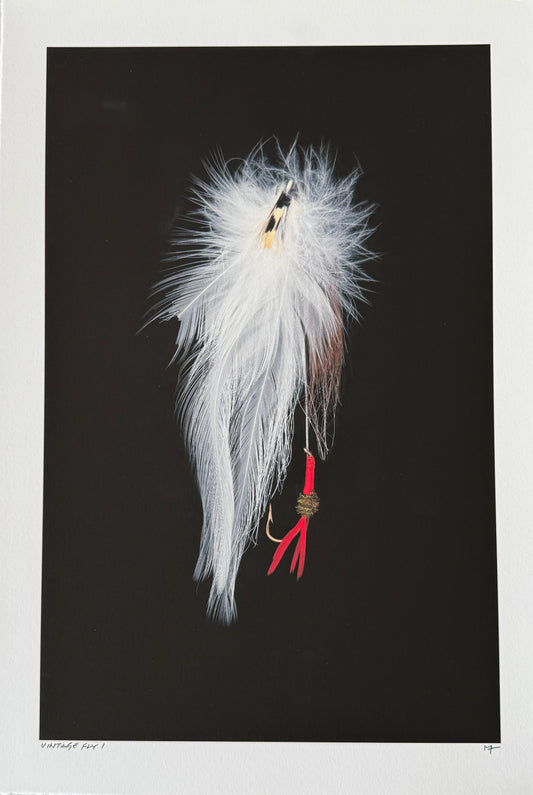 Vintage Fly 1