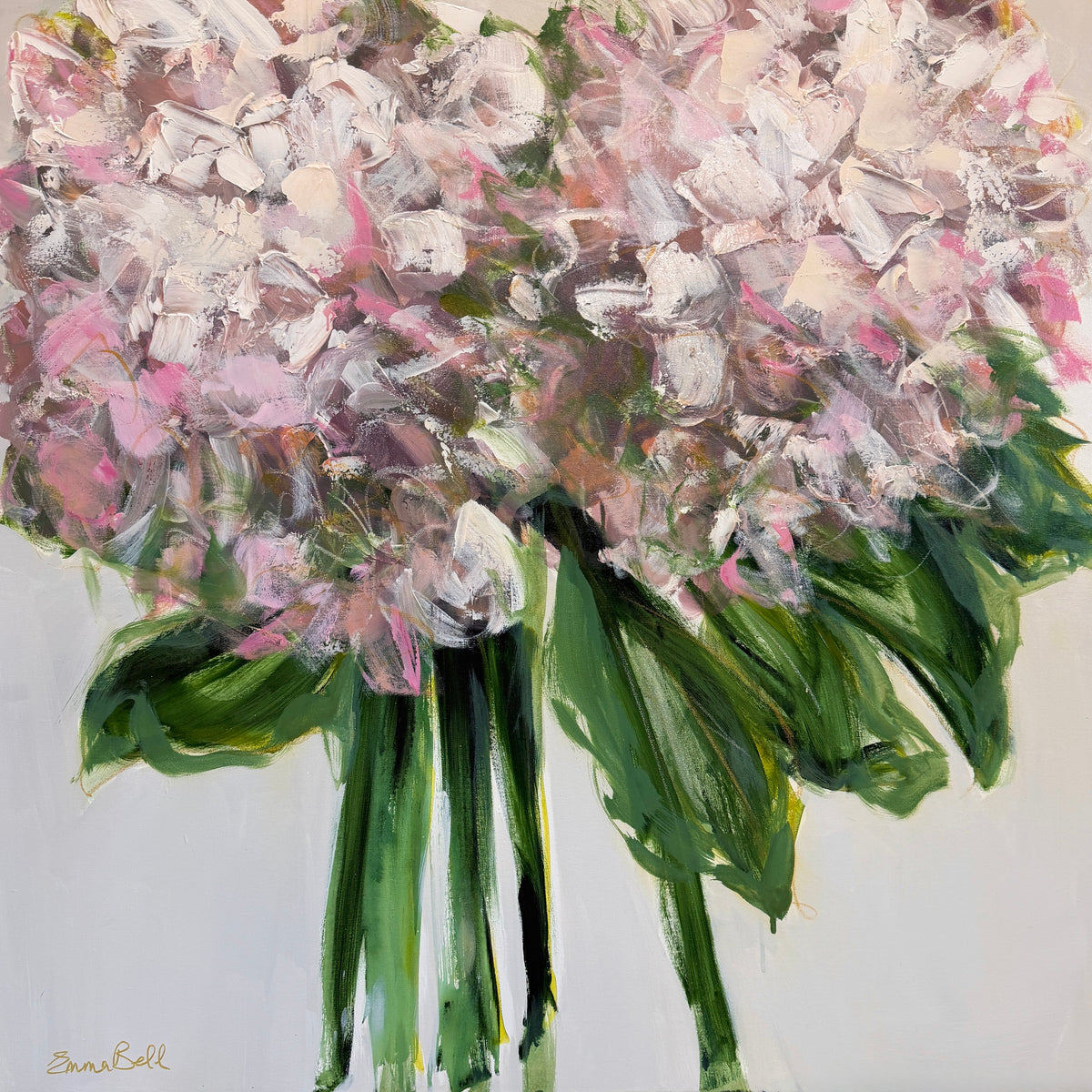 Two Blush Hydrangeas