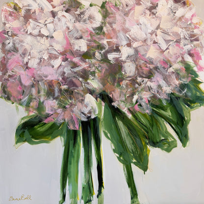 Two Blush Hydrangeas
