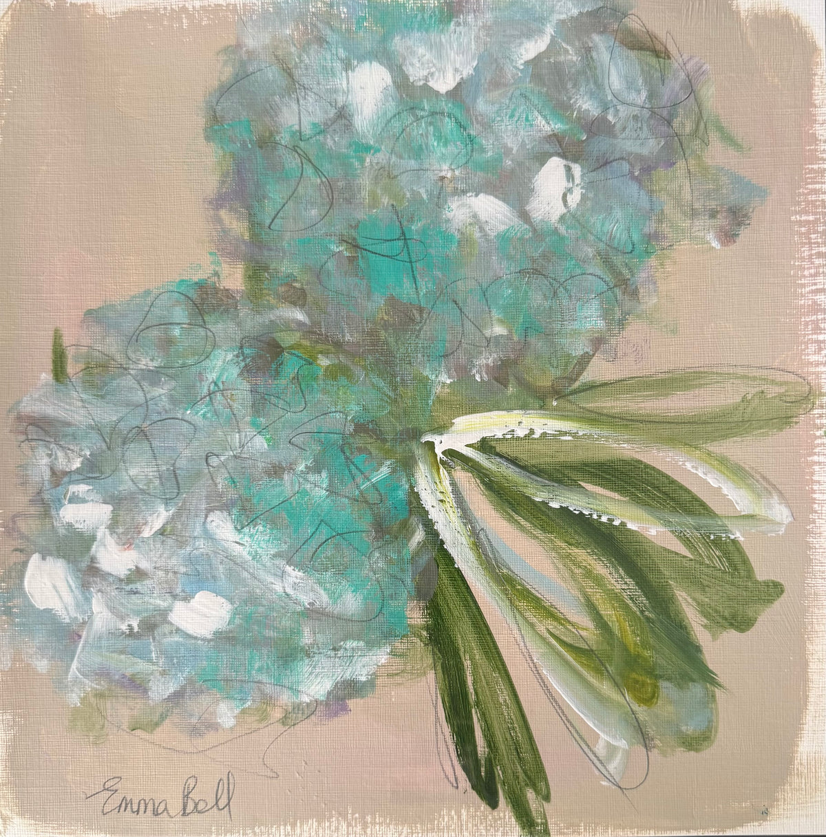 Aqua Hydrangeas