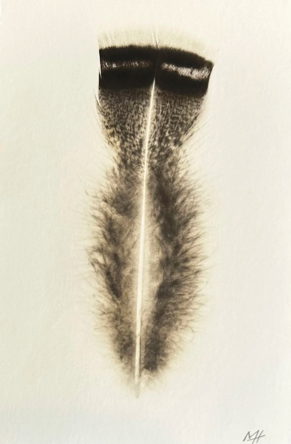 Fluffy Feather (Small)