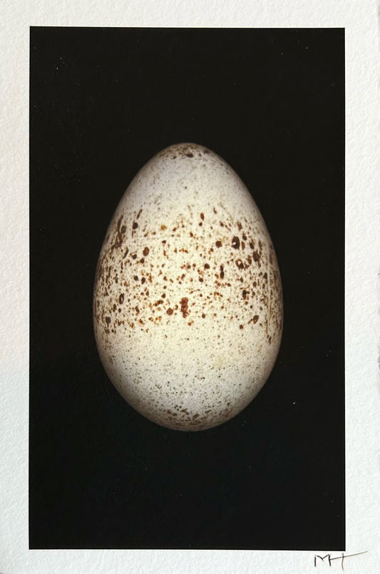 Big Egg (Small)