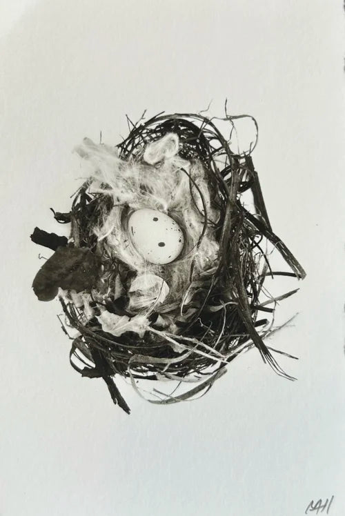 One Egg (Small)