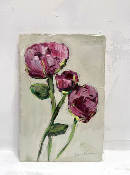 Pretty Pink Peonies III