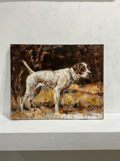 Pointer Dog