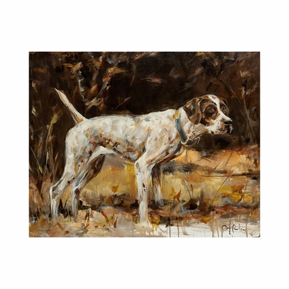 Pointer Dog