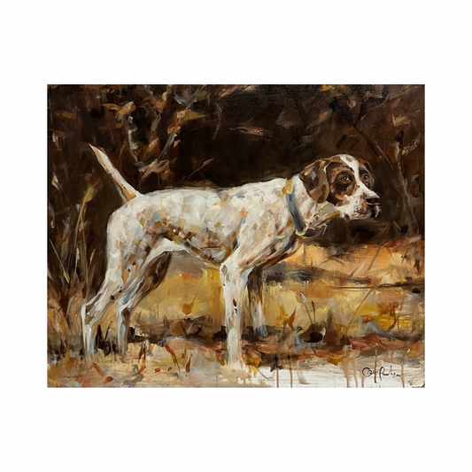 Pointer Dog