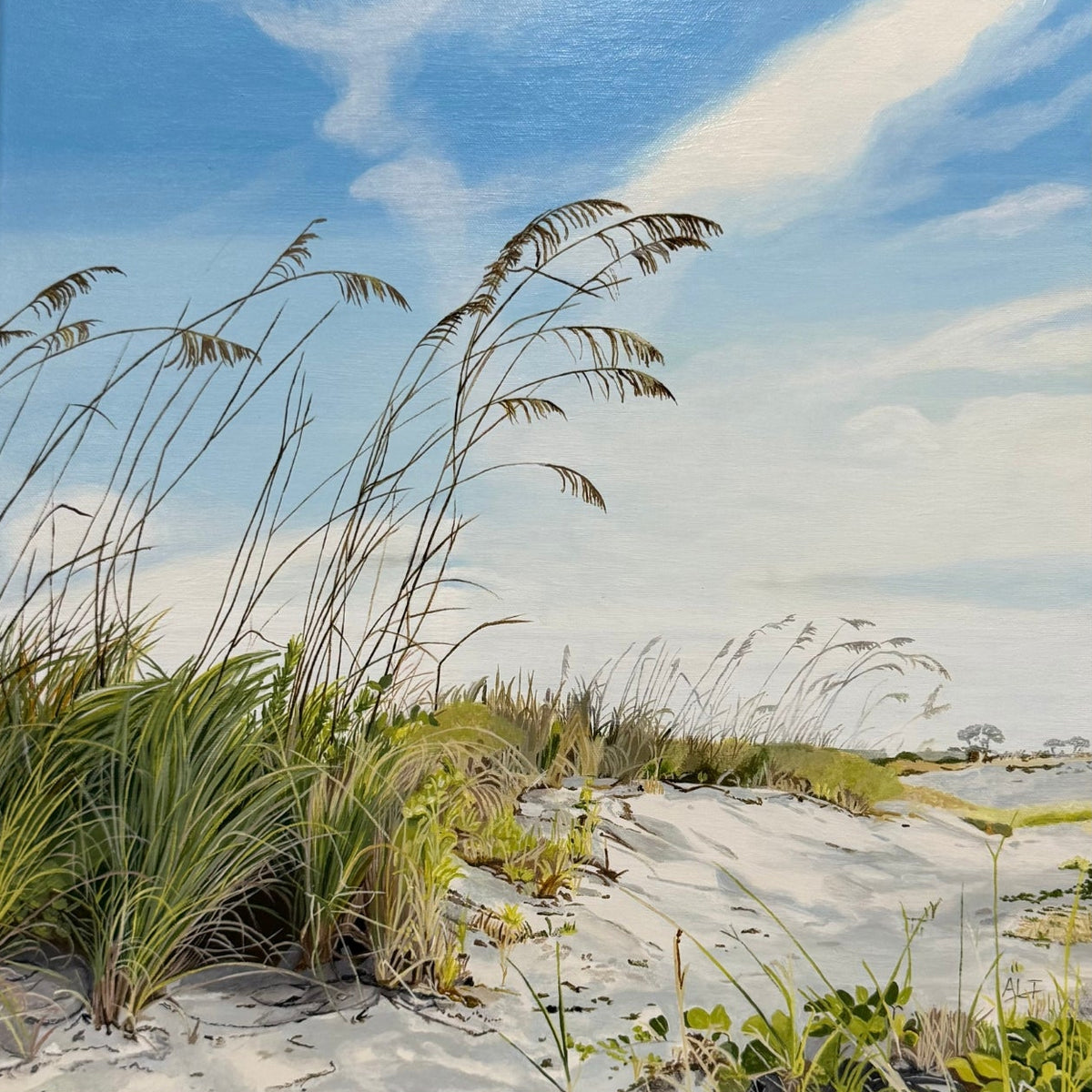 Sea Oats and Sand