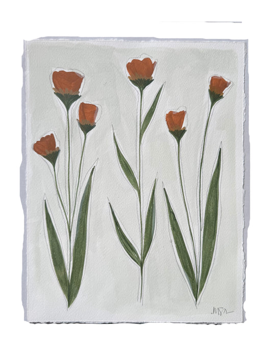 Secret Garden 1