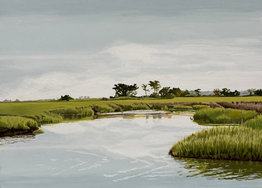 Summer Calm