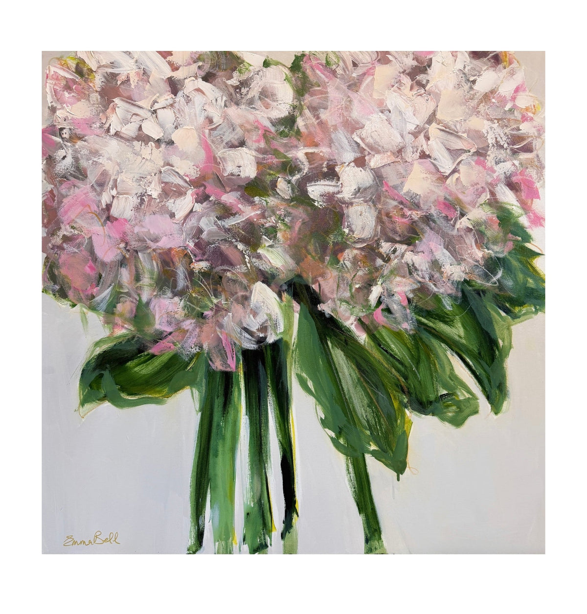 Two Blush Hydrangeas