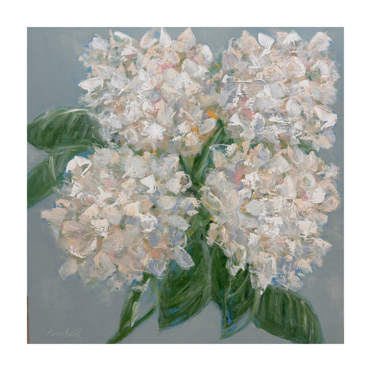 White Hydrangeas
