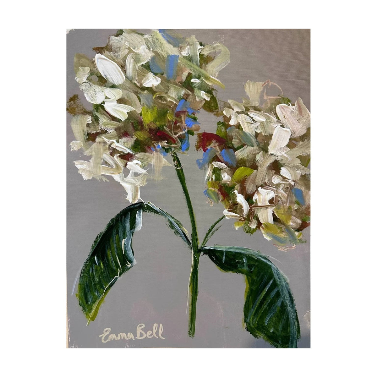 Botanical White Hydrangeas