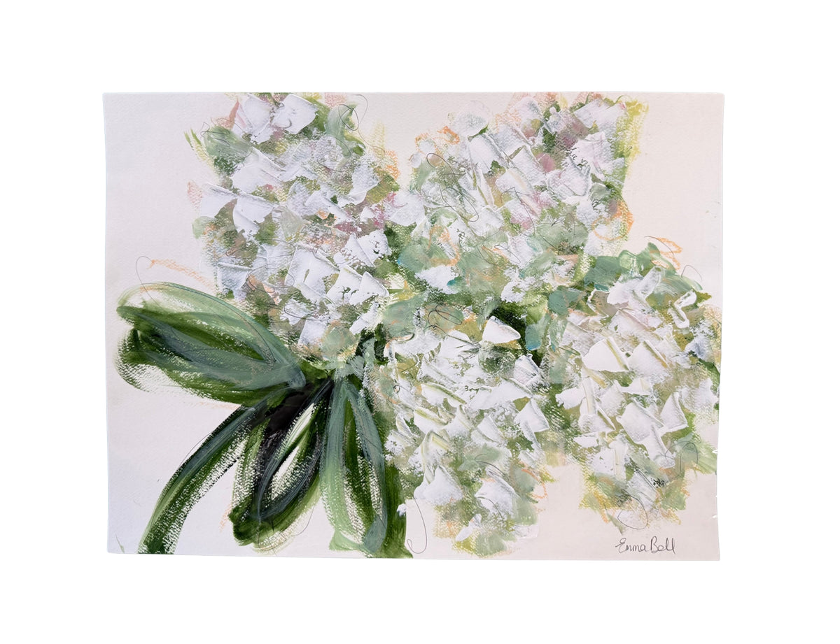White Hydrangea Bloom