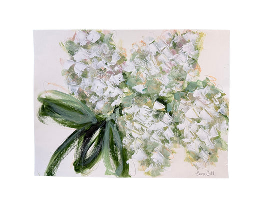 White Hydrangea Bloom