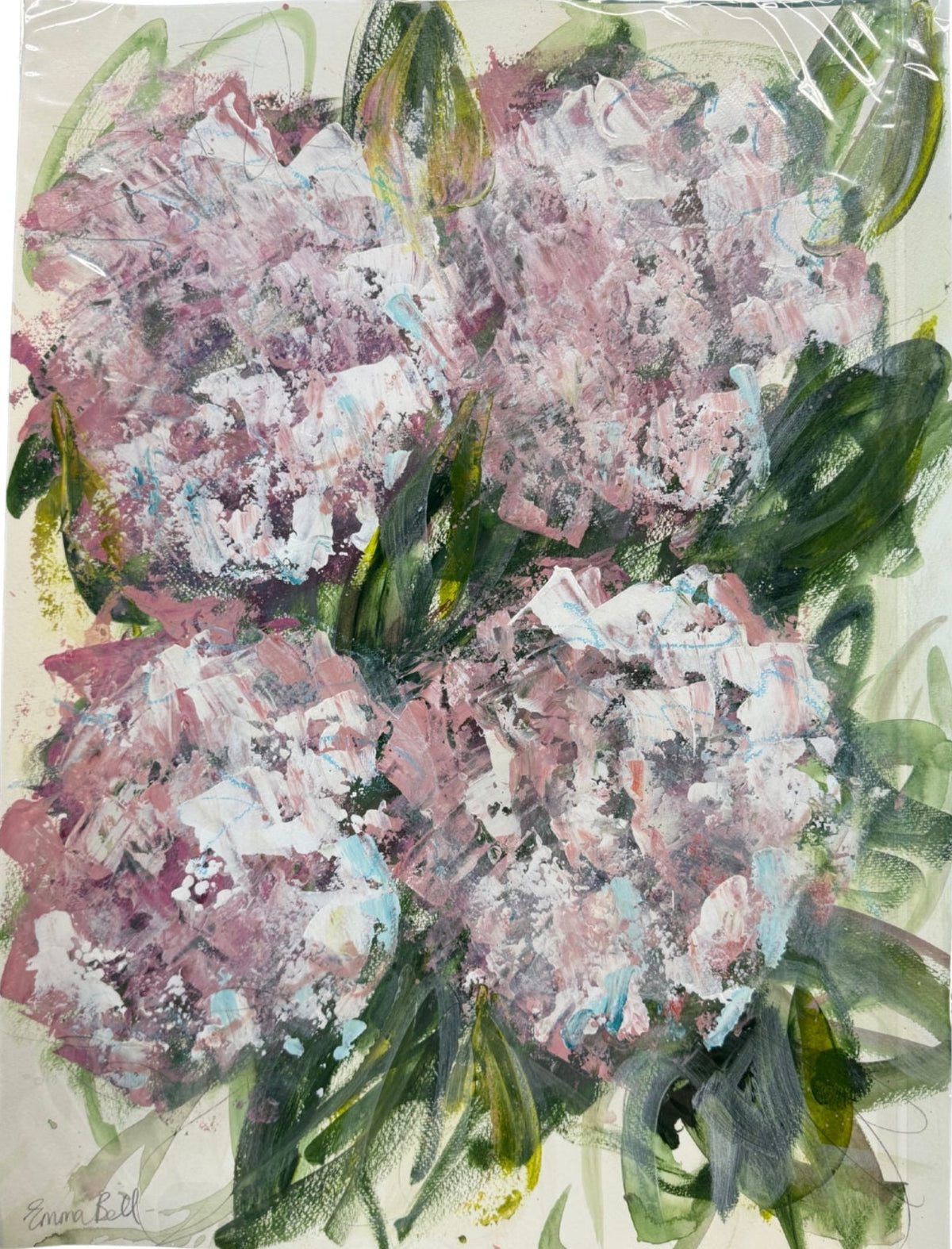 Wild Pink Hydrangeas