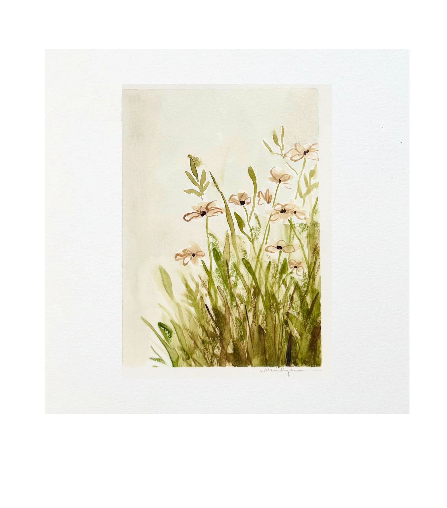 Watercolor Pink Daisys