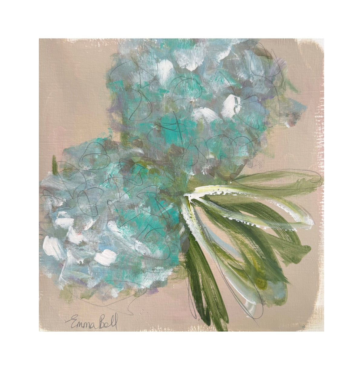 Aqua Hydrangeas